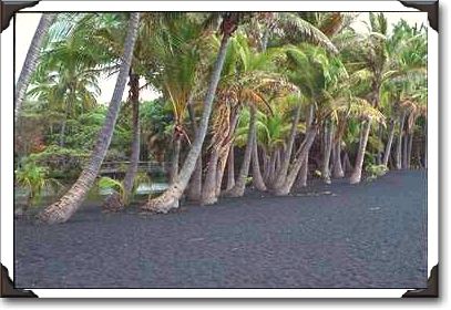 Black sand beach at Punaluu Black sand beach at Punaluu