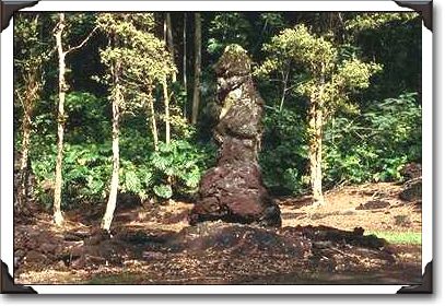Lava tube in Lava Tree Statue Monument Lava tube in Lava Tree Statue Monument