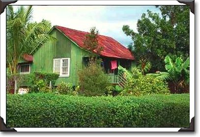 House in Pahala House in Pahala