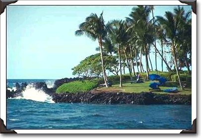 Lava flow and resort grounds, Kohala coast Lava flow and resort grounds, Kohala coast