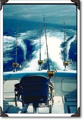 Big game fishing, charter boat off Kona coast Big game fishing, charter boat off Kona coast