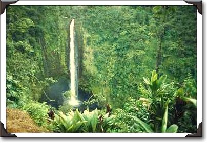 Akaka Falls Akaka Falls