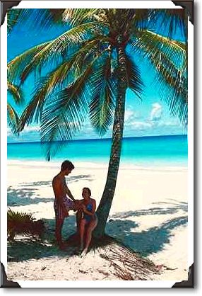 Tropical beach Tropical beach