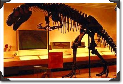 Allosaurus, Carnegie Museum, Pittsburgh, Pennsylvania Allosaurus, Carnegie Museum, Pittsburgh, Pennsylvania