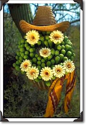 Smiley face with saguaro blooms Smiley face with saguaro blooms