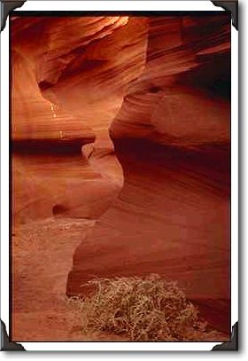 Antelope Canyon, Page Antelope Canyon, Page