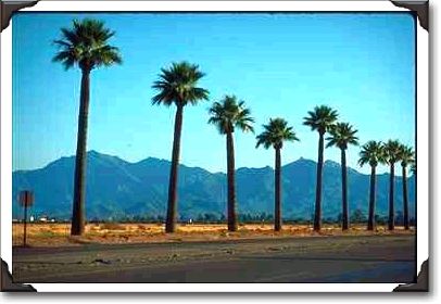 Litchfield Park Road, Interstate 10 Litchfield Park Road, Interstate 10