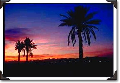 Semi-tropical landscape Semi-tropical landscape