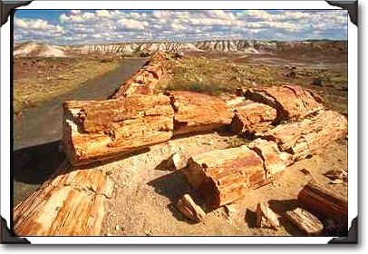 Petrified logs, Petrified Forest National Park Petrified logs, Petrified Forest National Park