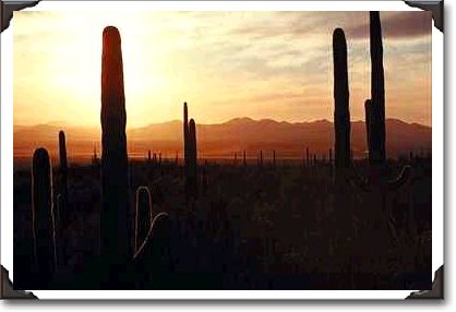 Sunset over Sonoran Desert Sunset over Sonoran Desert