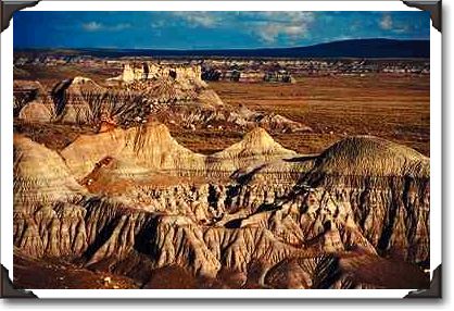 Prehistoric lake bed, Petrified Forest National Park Prehistoric lake bed, Petrified Forest National Park