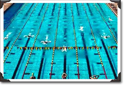 Arizona State University swim team Arizona State University swim team