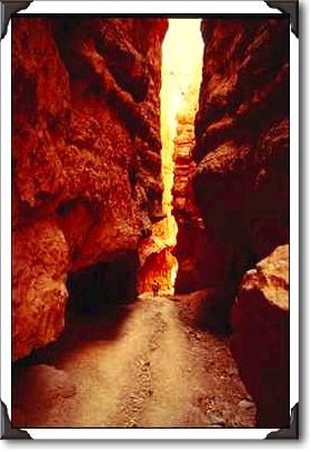 Wall Street, Bryce National Park, Utah Wall Street, Bryce National Park, Utah