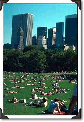 Relaxing in Central Park, New York City Relaxing in Central Park, New York City