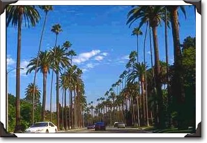 Residential Rodeo Drive, Beverly Hills, California Residential Rodeo Drive, Beverly Hills, California