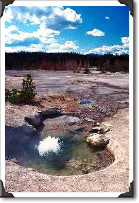 Geyser in Yellowstone National Park, Wyoming Geyser in Yellowstone National Park, Wyoming