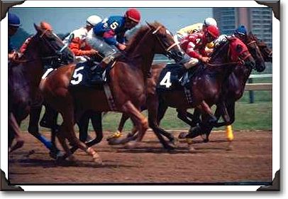 And they're off..., Pimlico Race Course, Baltimore, MD And they're off..., Pimlico Race Course, Baltimore, MD