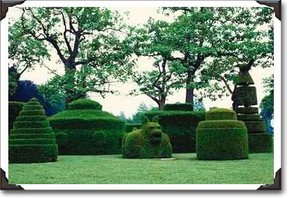 Cave yews in topiary garden, Longwood Gardens, PA Cave yews in topiary garden, Longwood Gardens, PA
