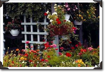 Lovely Nantucket Island, Massachusetts Lovely Nantucket Island, Massachusetts