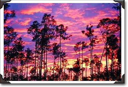 Sunset in Everglades National Park, Florida Sunset in Everglades National Park, Florida