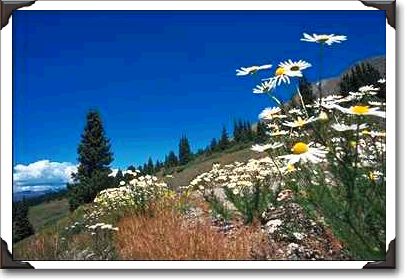 Boreas Pass, Breckenridge Boreas Pass, Breckenridge