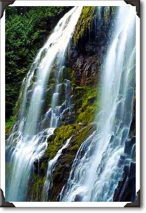 Lower Proxy Falls, Willamette National Forest, Oregon Lower Proxy Falls, Willamette National Forest, Oregon