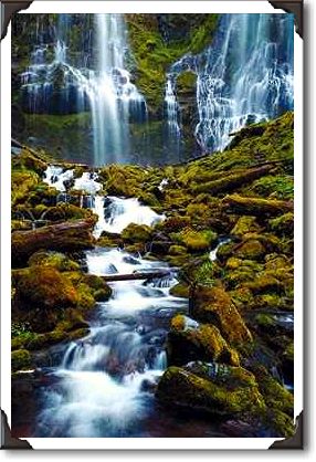 Lower Proxy Falls, Willamette National Forest, Oregon Lower Proxy Falls, Willamette National Forest, Oregon