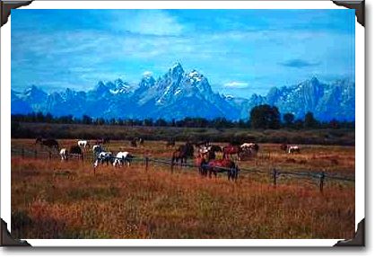 Grand Teton Mountains from U.S. highway, Wyoming Grand Teton Mountains from U.S. highway, Wyoming