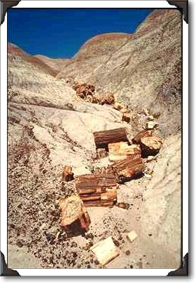 Broken logs, Petrified Forest National Park, Arizona Broken logs, Petrified Forest National Park, Arizona
