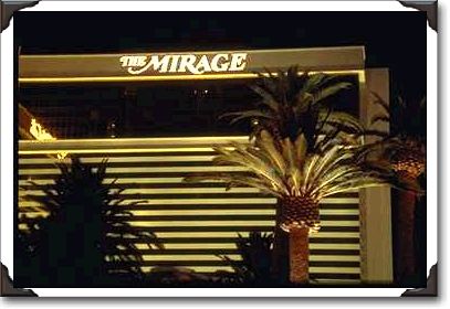 Floodlit Palm Mirage Floodlit Palm Mirage