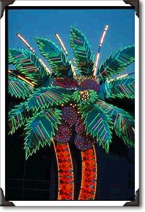 Neon palm tree Neon palm tree