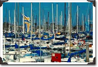 Yachts in marina, Newport, California Yachts in marina, Newport, California