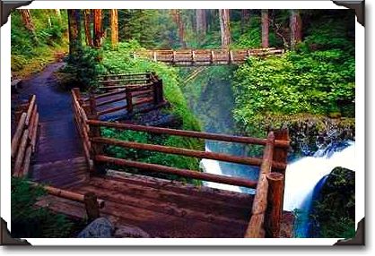 Observation deck and footbridge, Washington Observation deck and footbridge, Washington
