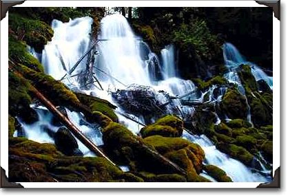 Clearwater Falls, Umpqua National Forest, Oregon Clearwater Falls, Umpqua National Forest, Oregon