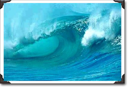 Beautiful afternoon, Hawaiian curl Beautiful afternoon, Hawaiian curl
