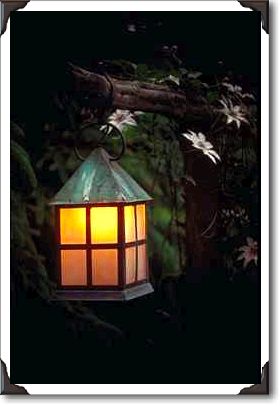 Light of the flowers, Monroe, New York Light of the flowers, Monroe, New York