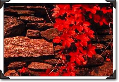 Autumn landscape, New England Autumn landscape, New England
