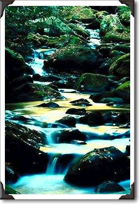 Roaring Fork Trail, Smoky Mountain National Park, TN Roaring Fork Trail, Smoky Mountain National Park, TN