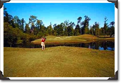 Pitching to the green, Country Club of South Carolina Pitching to the green, Country Club of South Carolina