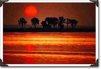 Sunset over tropical island, Black's Island, Florida Sunset over tropical island, Black's Island, Florida