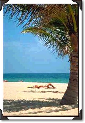 Sun worshipper on beach through palm tree, Fort Lauderdale Sun worshipper on beach through palm tree, Fort Lauderdale