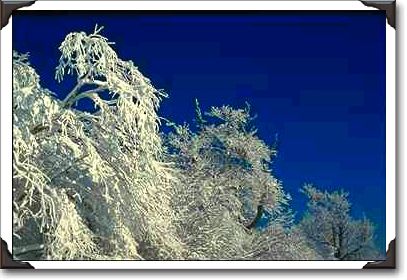 Winter landscape, New England Winter landscape, New England
