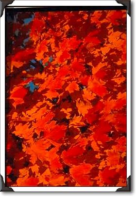 Autumn landscape, New England Autumn landscape, New England