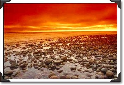 Exposed reef, low tide, Baja, California Exposed reef, low tide, Baja, California