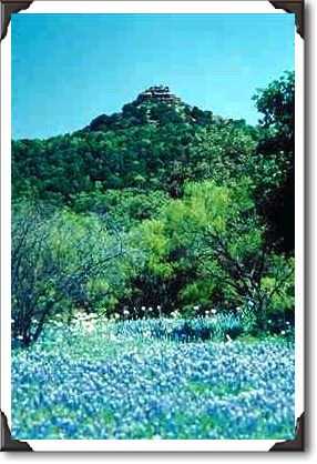 Bluebonnets, Llano, Texas Bluebonnets, Llano, Texas