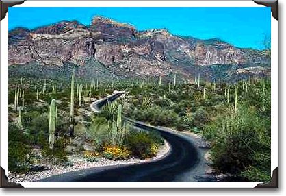 Ajo Mountains, Organ Pipe Cactus National Monument, Arizona Ajo Mountains, Organ Pipe Cactus National Monument, Arizona