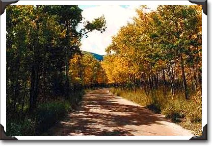 Autumn in the Colorado Mountains, Colorado Autumn in the Colorado Mountains, Colorado