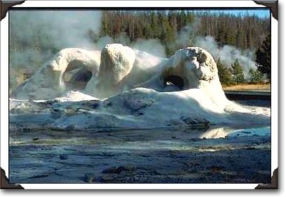 Grotto Geyser, Upper Geyser Basin, Yellowstone National Park Grotto Geyser, Upper Geyser Basin, Yellowstone National Park