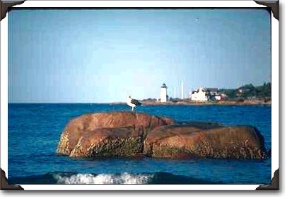 Eastern Point lighthouse, Gloucester, Massachusetts Eastern Point lighthouse, Gloucester, Massachusetts