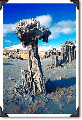 Sand tufa formations, Mono Lake, California Sand tufa formations, Mono Lake, California